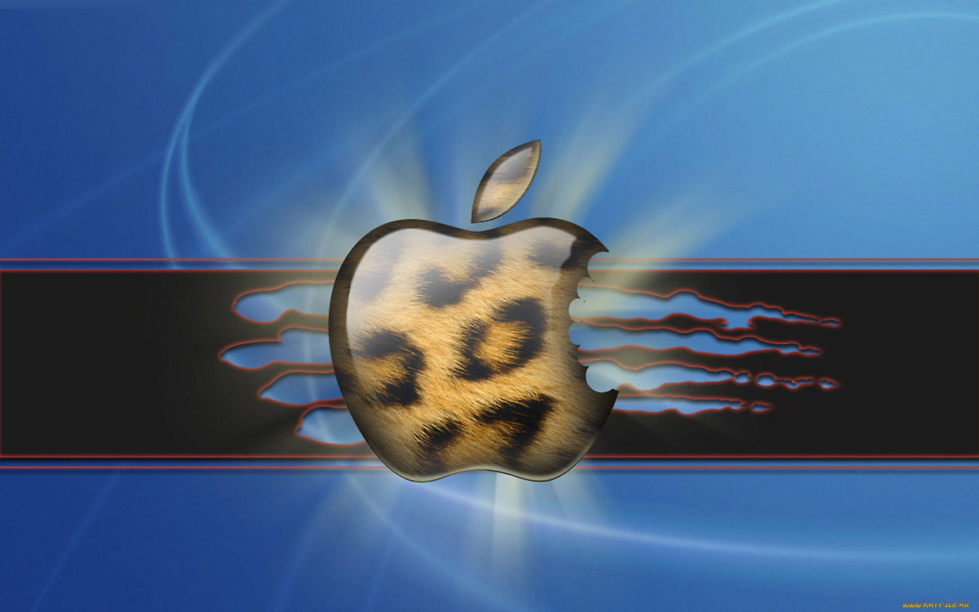 , apple
